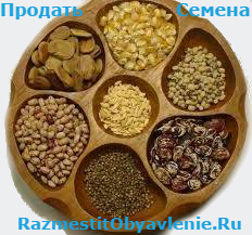 Семена цветов продать Семена цветов продать картинка