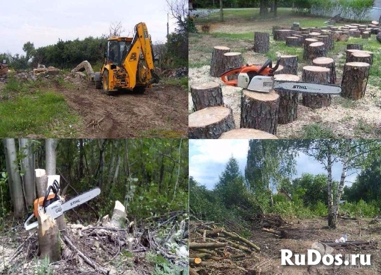 Вывоз мусора фото