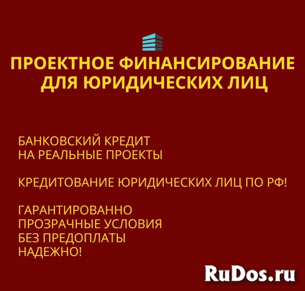 Проектное финансирование для Юридических лиц по РФ фото
