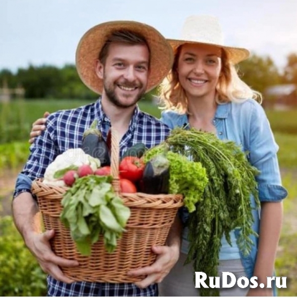 Земельный участок 2га под фермерское хозяйство. изображение 6