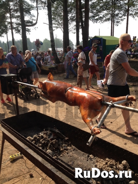Вертел для мангала с электроприводом изображение 6