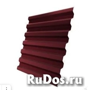 Пpoфнacтил (прoфлиcт) С-21 изображение 4