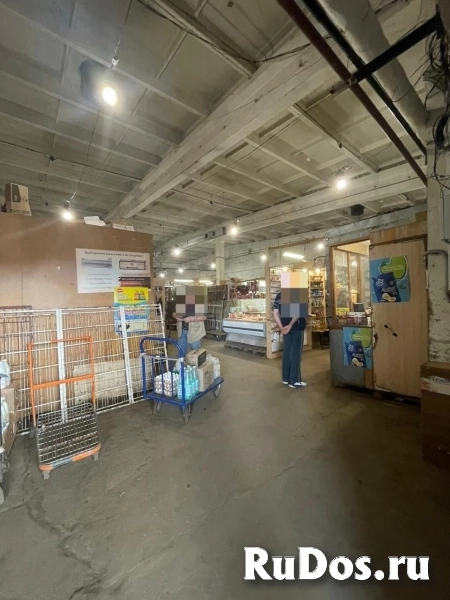 Сдам коммерческую недвижимость 253 м2 изображение 5
