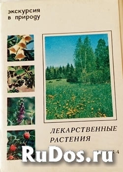 Набор открыток - Лекарственные травы. фото