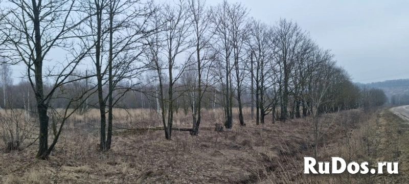 Продам участок 1440 сот. изображение 5