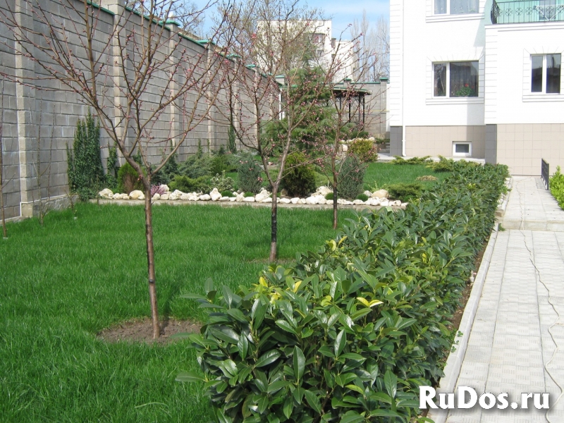 Посадка плодового сада фотка