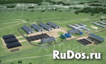 Молочно-товарная ферма на 1200 голов КРС изображение 3