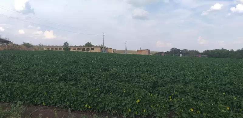 Продается производственная база, 2.5 га изображение 4