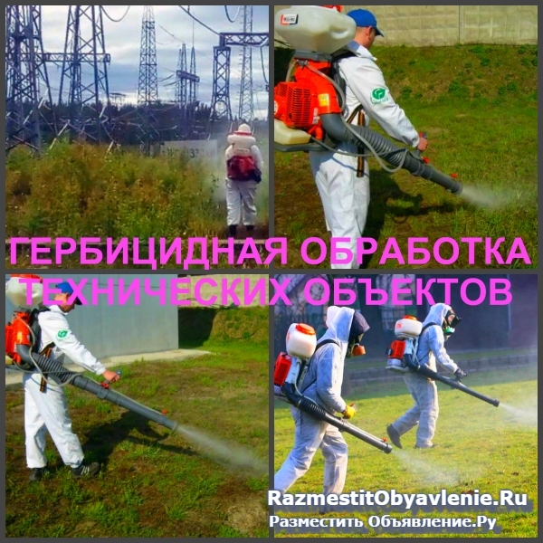 Гербицидная обработка Воронеж, от сорняков изображение 3