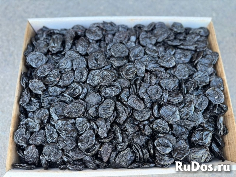 Чернослив фото