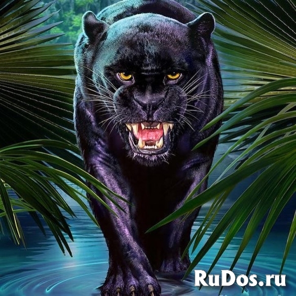 100% ПРИВОРОТ НАЛЬЧИКЕ МАГИЯ ВУДУ ВЕРНУТЬ МУЖА В СЕМЬЮ ГАДАНИЕ фото