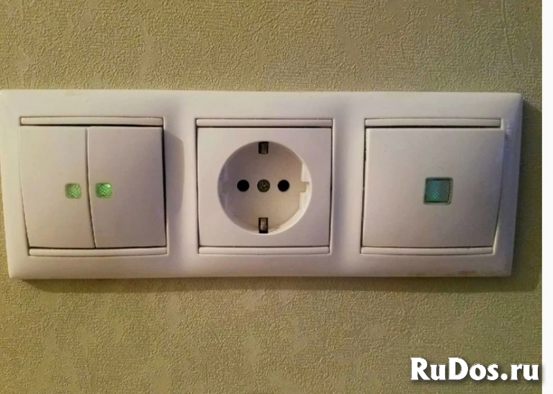 Орел изображение 8