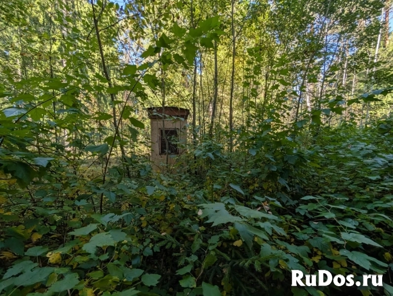 Продам коммерческую недвижимость 7297.8 м2 изображение 6
