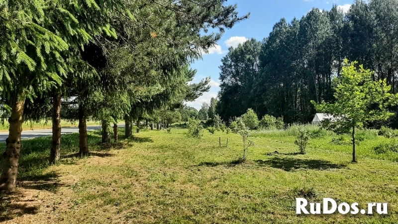 Уютный хуторок "Тимофеевка" для бизнеса и постоянного проживания изображение 12