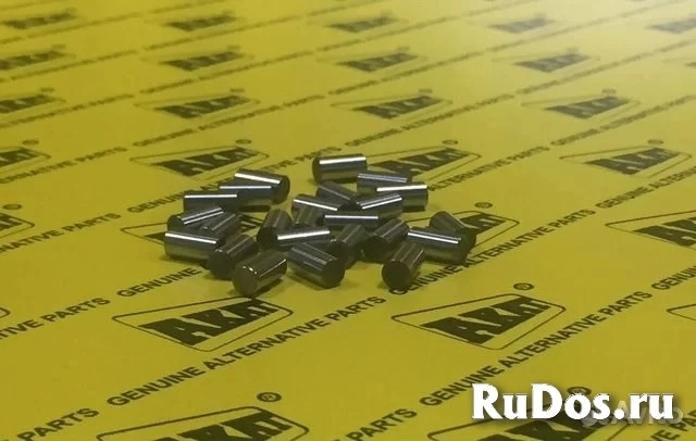 Иголки подшипника Carraro 134350 изображение 3