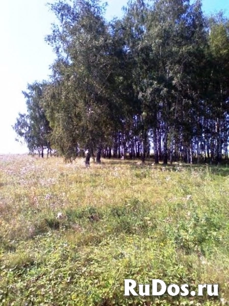 Продам Земельный участок 27 Га (собственность) изображение 4