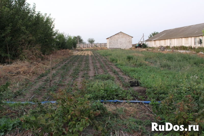 Предлагаются в аренду помещения изображение 3