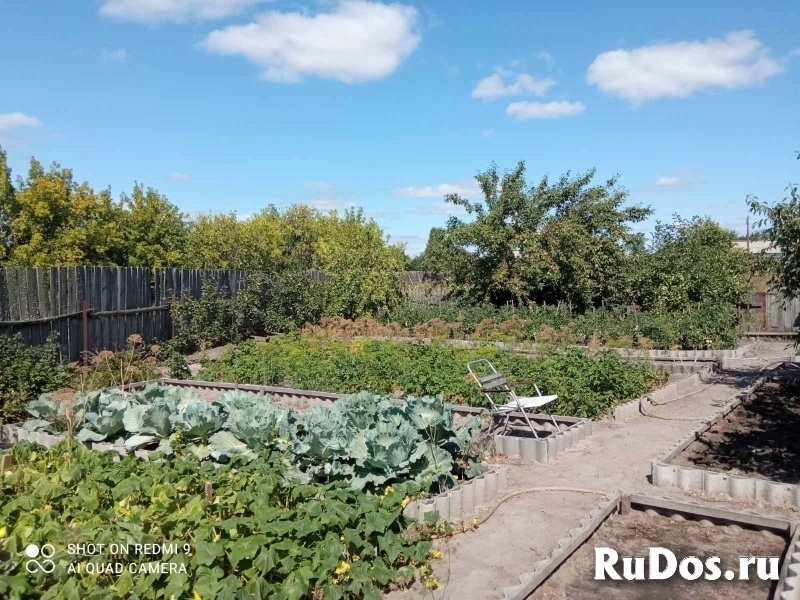 Дом д.Красноборье изображение 4