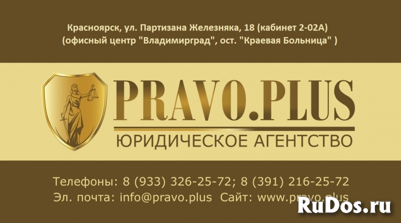 Профессиональная юридическая помощь фото