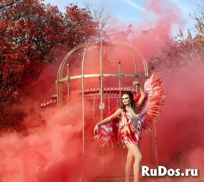 Шоу в клетке «Райская птичка» с подачей шампанског изображение 4