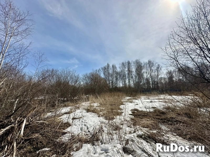 Продам участок 35 сот. изображение 6