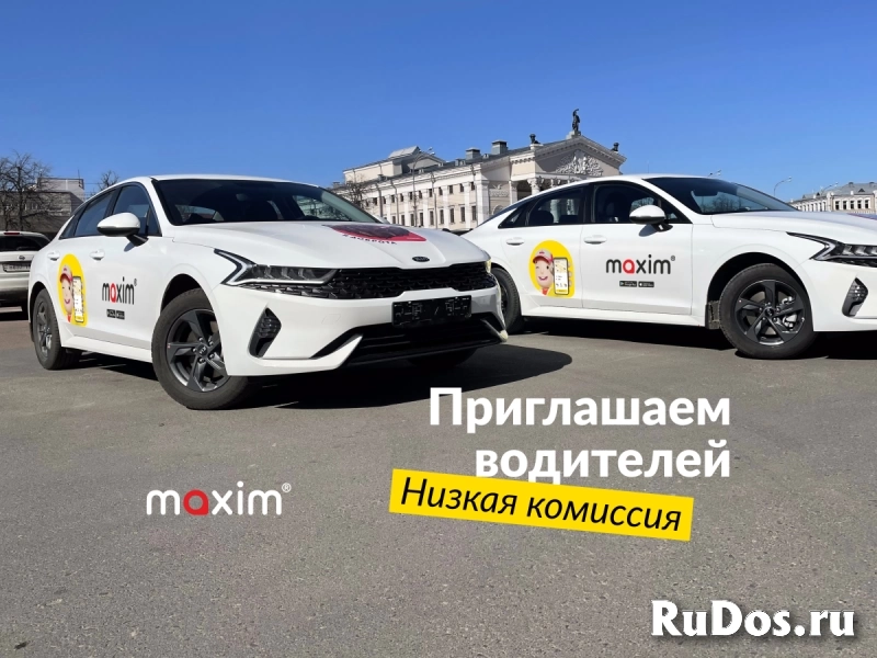 Водитель легкового автомобиля фото