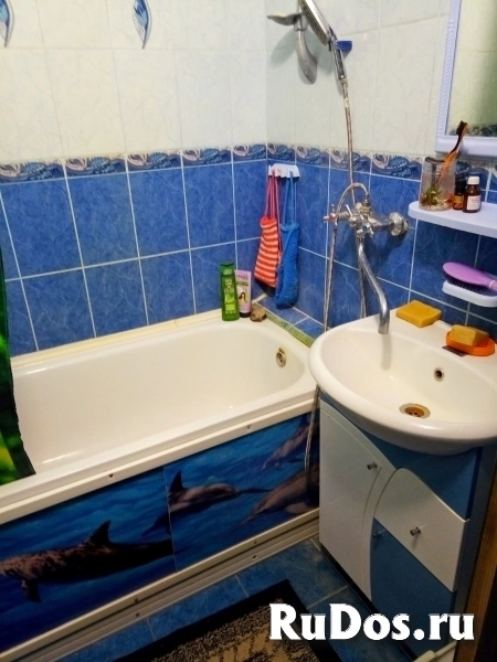 с. Новосёлки изображение 6