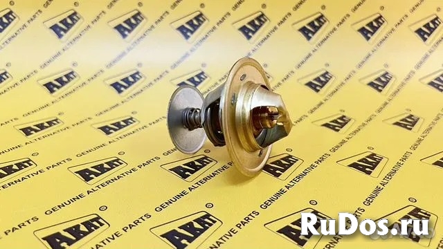 Термостат TECTOR FPT 81° ОЕМ 504038890 изображение 3