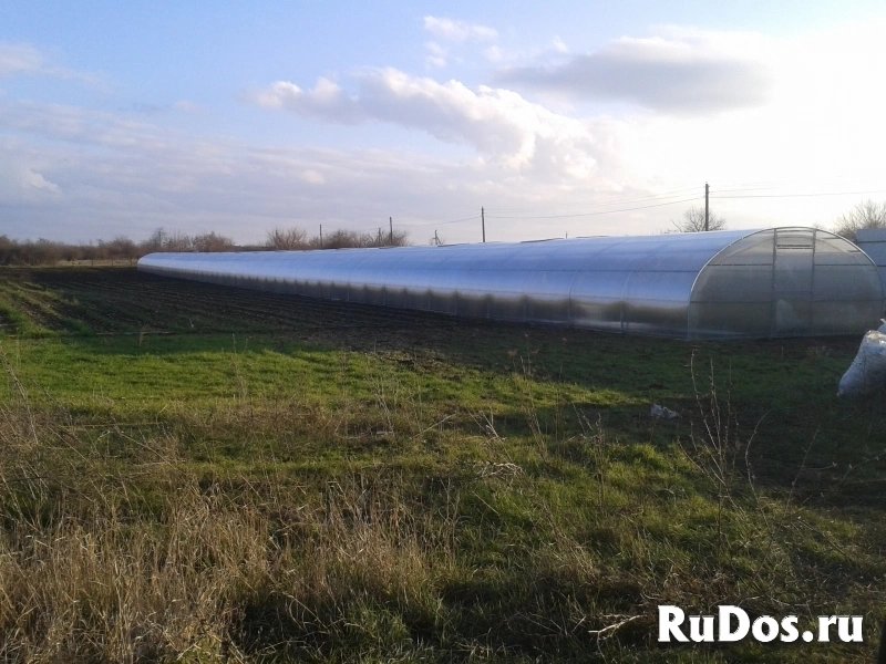 Теплицы ширина 5,25 метра фото