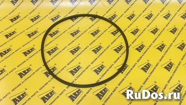 Уплотнительное кольцо  0750.112.175 фото