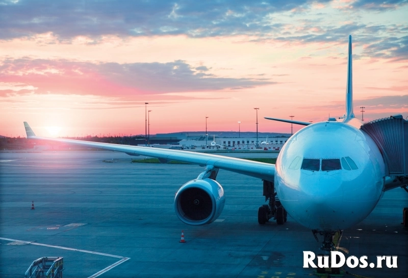 Упаковщик бортового питания в аэропорт фото