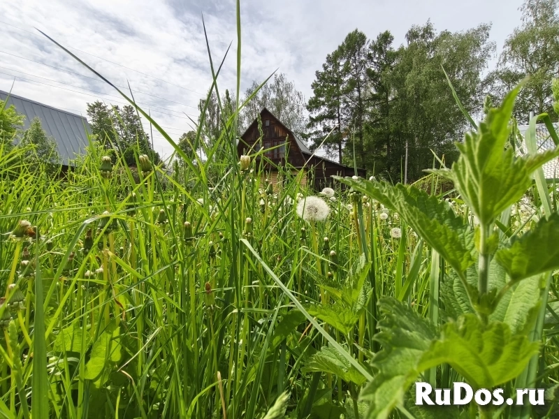 Кирпичный дом 74,3 кв.м., 7 сот изображение 4