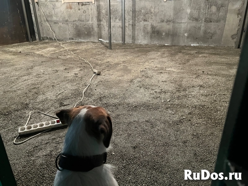 Сухая смесь для стяжки пола теплобетон полистиролбетон Д400 изображение 4