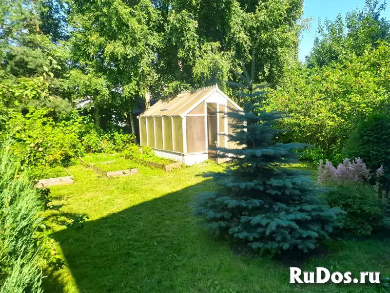 г. Санкт-Петербург изображение 5