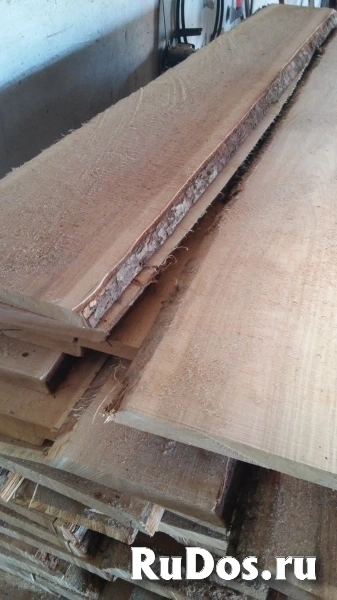 Доска ясеня обрезная, не обрезная, сухая, сырая. изображение 3