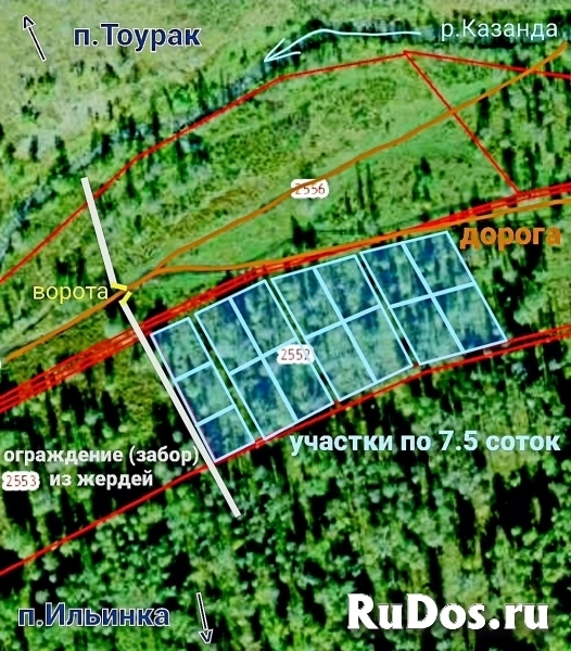 Участок 7.5 сот на Алтае в горах у речки, в дали от цивилизации. изображение 6