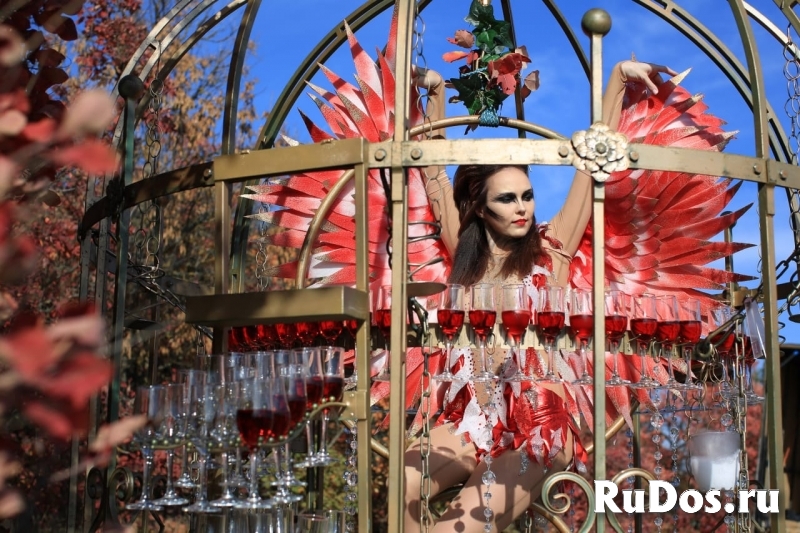 Шоу в клетке «Райская птичка» с подачей шампанског фотка