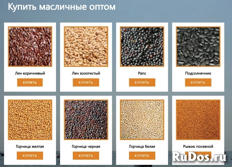 ООО Агропром - оптовая реализация продуктов питания экспорт изображение 3