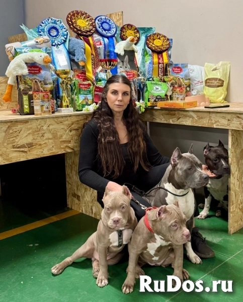 Лиловый триколор девочка Амбулли 6 месяцев изображение 5