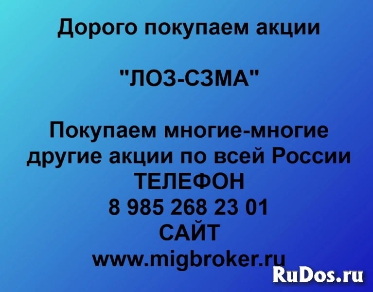 Покупка акций «ЛОЗ-СЗМА» фото