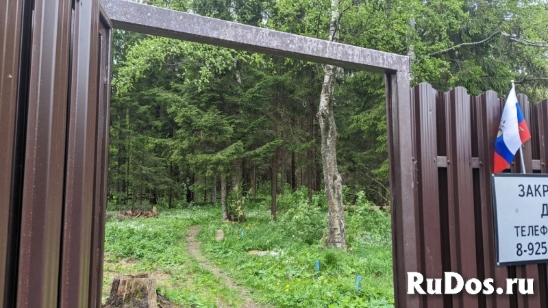 Участок 10,5 сот. (ИЖС) в элитном КП "Никольское-Лесное" изображение 12