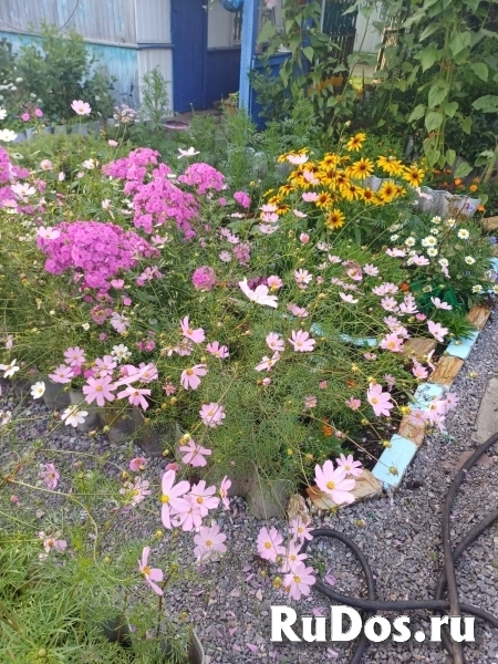 Продам дачу изображение 4