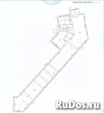 Аренда торговой площади 494 м2 у м. Черная речка изображение 6