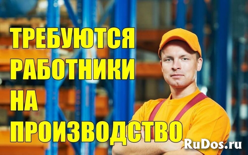 Оператор линии фото