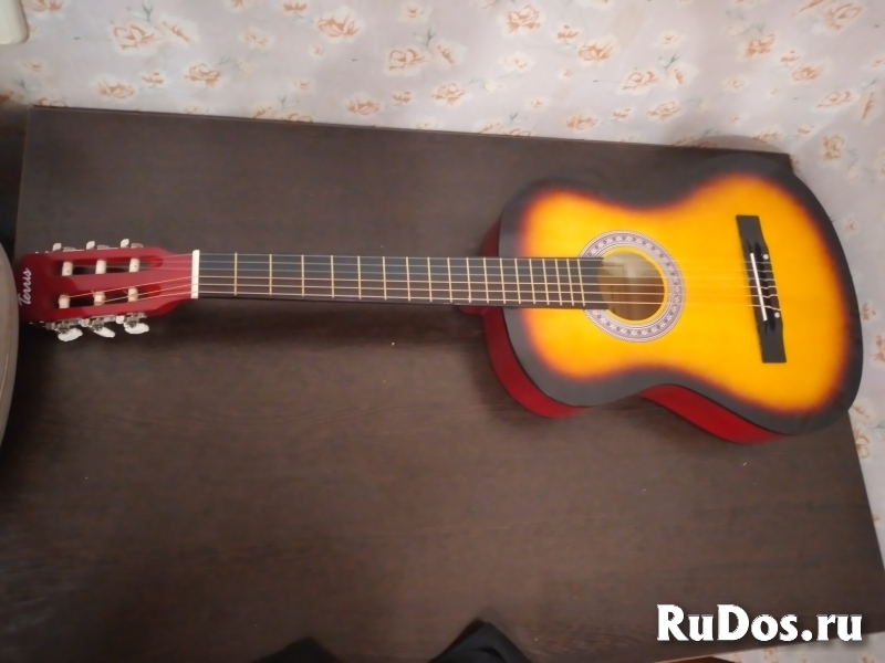 Акустическая гитара Terris для начинающих фото