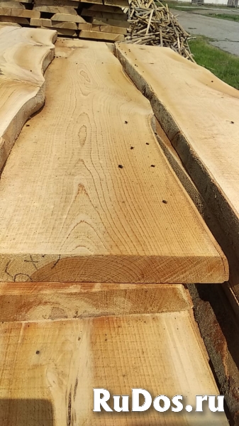 Пиломатериалы, кругляк из дуба, бука, ясеня, клена, акации, карагача, липы изображение 12