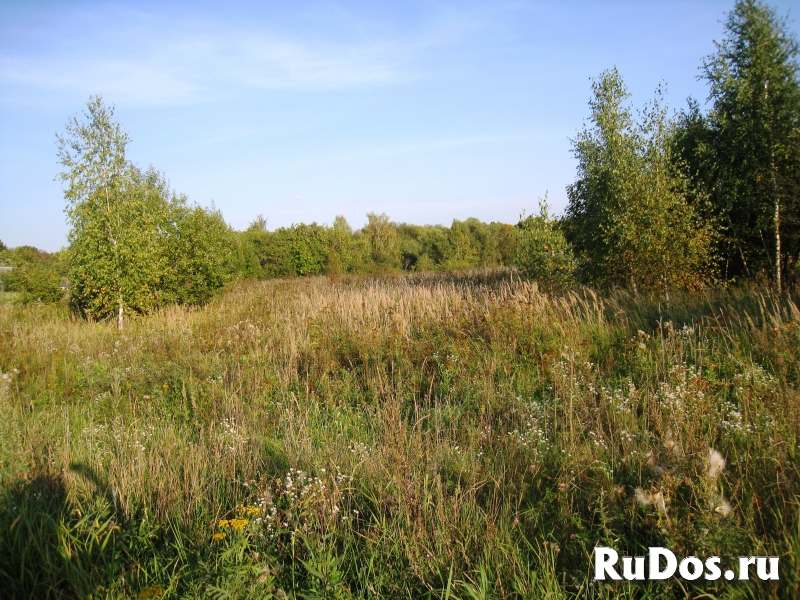 Участок 24 сотки 2,5 км от р. Оки, музея Поленово. фото