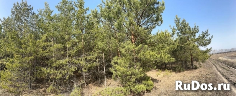 Продам землю изображение 3