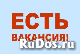 Ответственный сотрудник фото