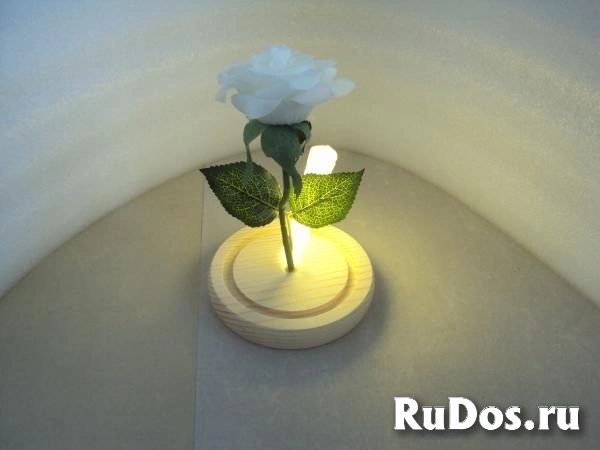 Роза с подсветкой в колбе изображение 3